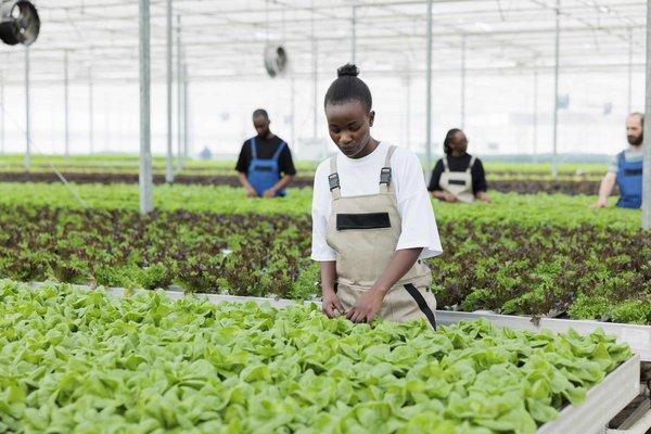 What Are the Effective Methods for UK E-commerce Sites to Combat Cart Abandonment?