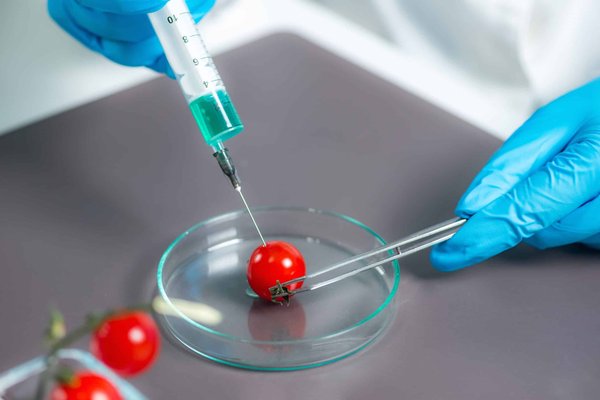 Can You Install an Active Exhaust System in a Ford Mustang EcoBoost for Adjustable Sound Levels?